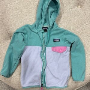 Patagonia lightweight fleece Hoodie